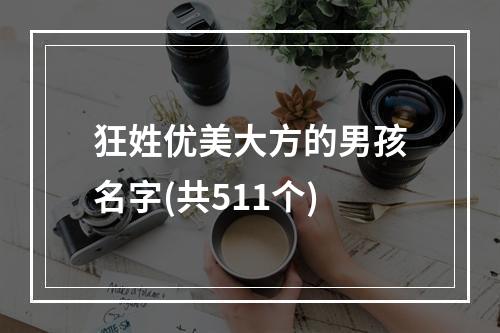 狂姓优美大方的男孩名字(共511个)