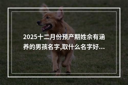 2025十二月份预产期姓佘有涵养的男孩名字,取什么名字好(通用)