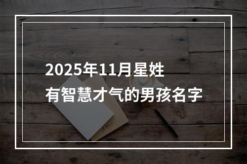 2025年11月星姓有智慧才气的男孩名字