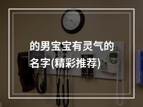 的男宝宝有灵气的名字(精彩推荐)