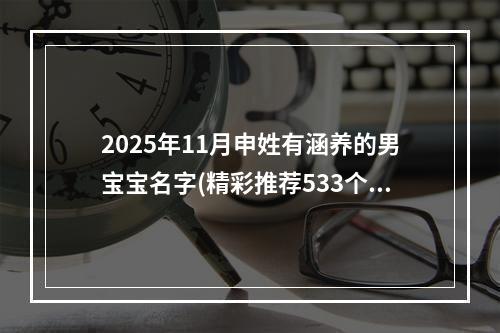 2025年11月申姓有涵养的男宝宝名字(精彩推荐533个)