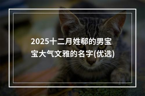 2025十二月姓郗的男宝宝大气文雅的名字(优选)