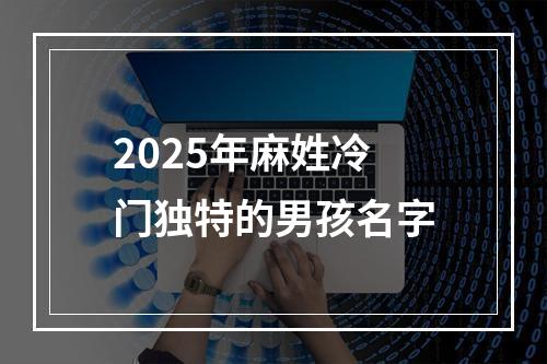 2025年麻姓冷门独特的男孩名字