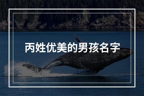 丙姓优美的男孩名字