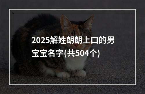 2025解姓朗朗上口的男宝宝名字(共504个)