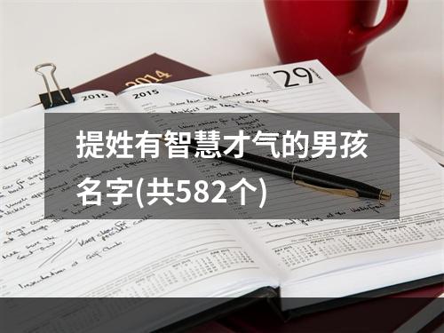 提姓有智慧才气的男孩名字(共582个)