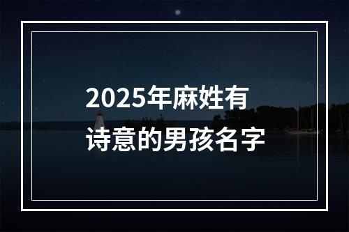 2025年麻姓有诗意的男孩名字