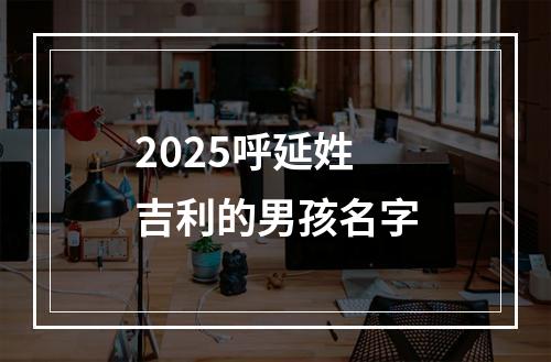 2025呼延姓吉利的男孩名字
