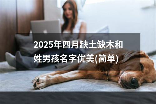 2025年四月缺土缺木和姓男孩名字优美(简单)