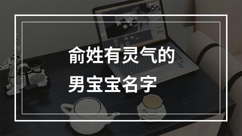 俞姓有灵气的男宝宝名字