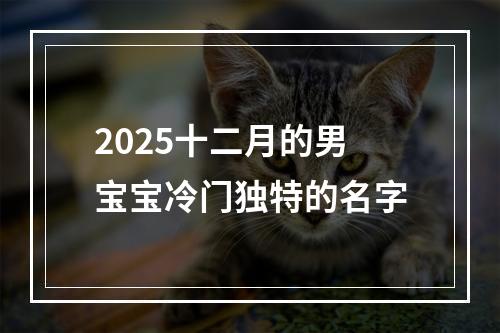 2025十二月的男宝宝冷门独特的名字