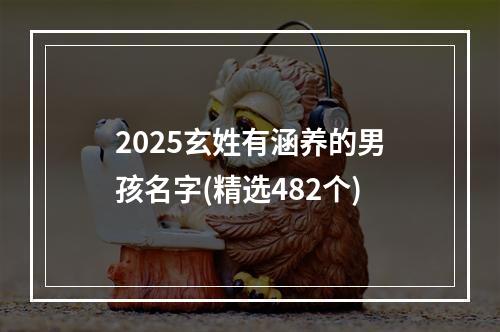 2025玄姓有涵养的男孩名字(精选482个)