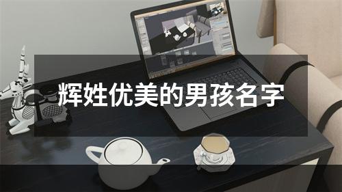 辉姓优美的男孩名字