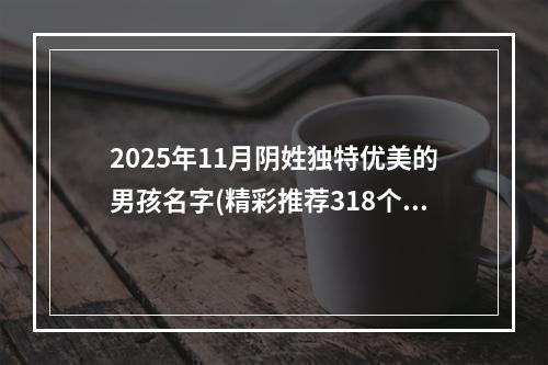 2025年11月阴姓独特优美的男孩名字(精彩推荐318个)