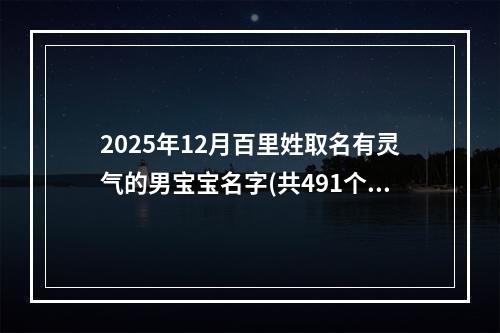2025年12月百里姓取名有灵气的男宝宝名字(共491个)