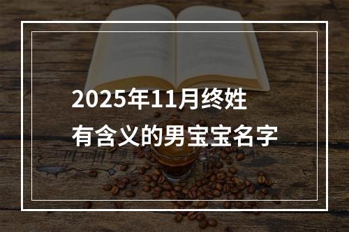 2025年11月终姓有含义的男宝宝名字