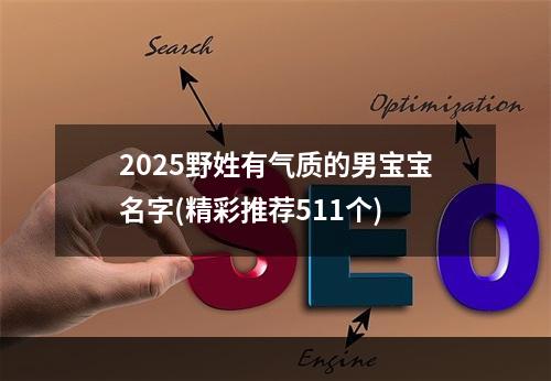 2025野姓有气质的男宝宝名字(精彩推荐511个)