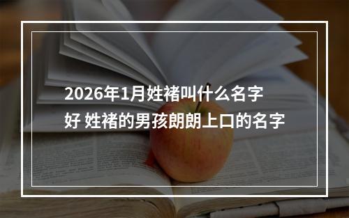 2026年1月姓褚叫什么名字好 姓褚的男孩朗朗上口的名字