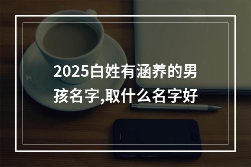 2025白姓有涵养的男孩名字,取什么名字好