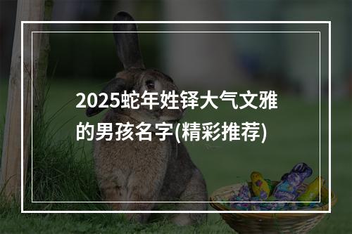 2025蛇年姓铎大气文雅的男孩名字(精彩推荐)