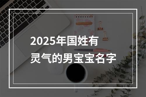 2025年国姓有灵气的男宝宝名字