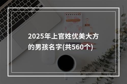 2025年上官姓优美大方的男孩名字(共560个)
