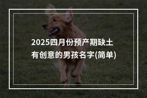 2025四月份预产期缺土有创意的男孩名字(简单)