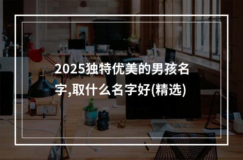 2025独特优美的男孩名字,取什么名字好(精选)