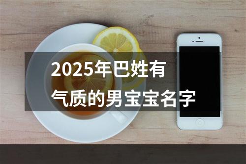 2025年巴姓有气质的男宝宝名字