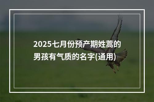 2025七月份预产期姓蒿的男孩有气质的名字(通用)