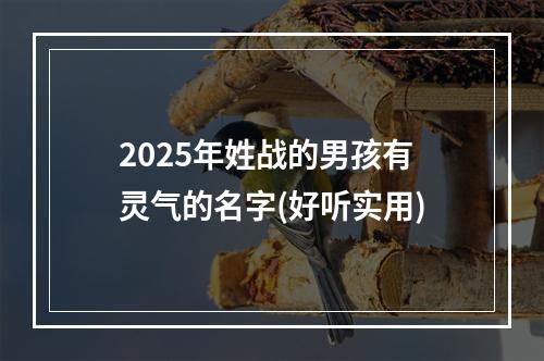 2025年姓战的男孩有灵气的名字(好听实用)