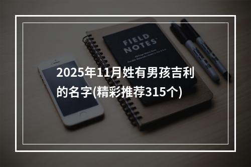 2025年11月姓有男孩吉利的名字(精彩推荐315个)