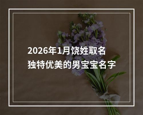 2026年1月饶姓取名独特优美的男宝宝名字