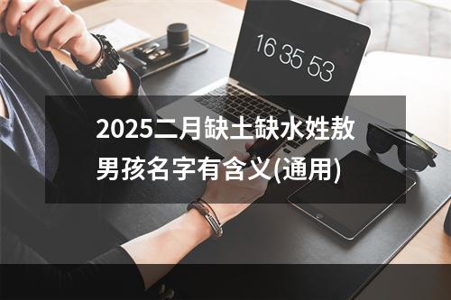 2025二月缺土缺水姓敖男孩名字有含义(通用)