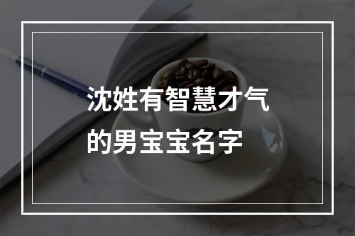 沈姓有智慧才气的男宝宝名字