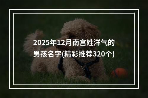 2025年12月南宫姓洋气的男孩名字(精彩推荐320个)