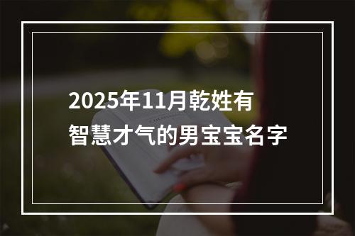 2025年11月乾姓有智慧才气的男宝宝名字