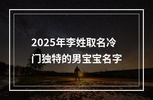 2025年李姓取名冷门独特的男宝宝名字