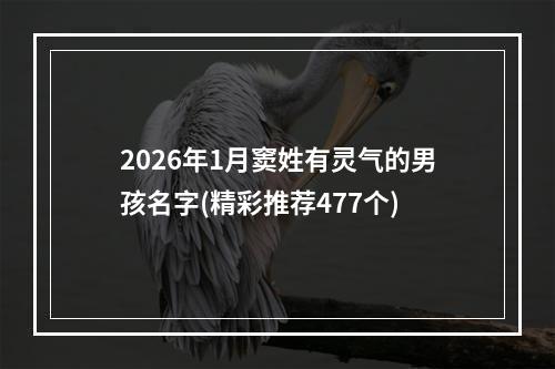 2026年1月窦姓有灵气的男孩名字(精彩推荐477个)