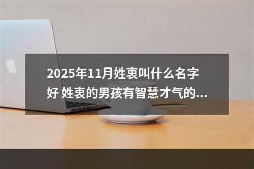 2025年11月姓衷叫什么名字好 姓衷的男孩有智慧才气的名字