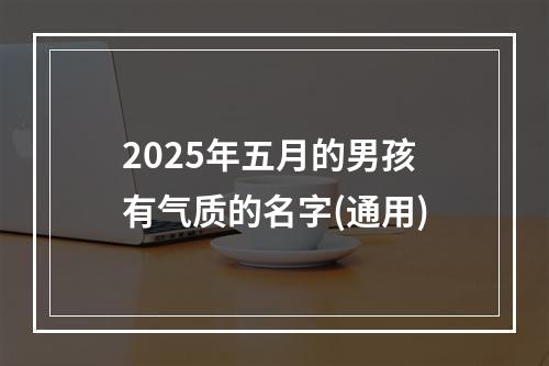 2025年五月的男孩有气质的名字(通用)