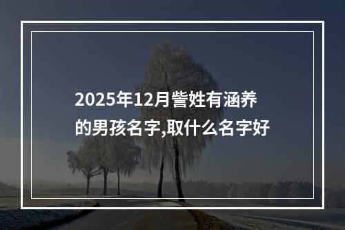 2025年12月訾姓有涵养的男孩名字,取什么名字好
