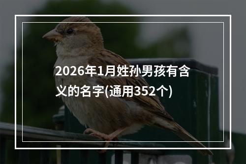 2026年1月姓孙男孩有含义的名字(通用352个)