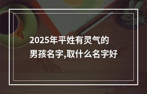 2025年平姓有灵气的男孩名字,取什么名字好