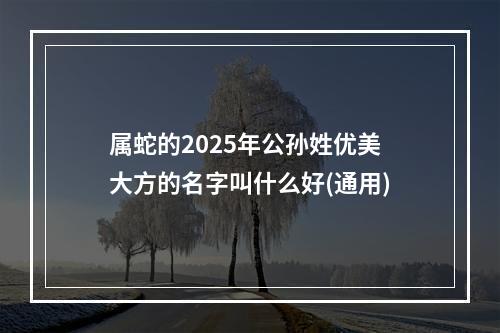 属蛇的2025年公孙姓优美大方的名字叫什么好(通用)