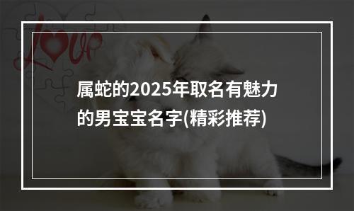 属蛇的2025年取名有魅力的男宝宝名字(精彩推荐)
