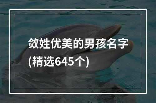 敛姓优美的男孩名字(精选645个)