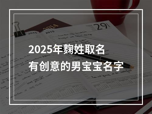 2025年麴姓取名有创意的男宝宝名字