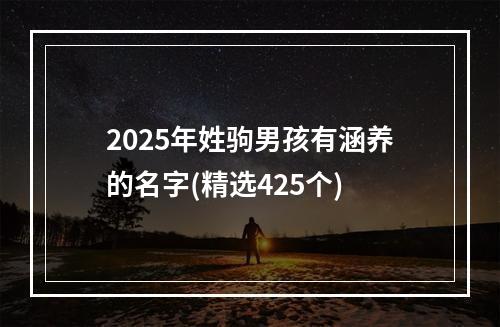 2025年姓驹男孩有涵养的名字(精选425个)