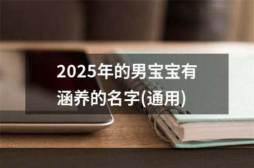 2025年的男宝宝有涵养的名字(通用)